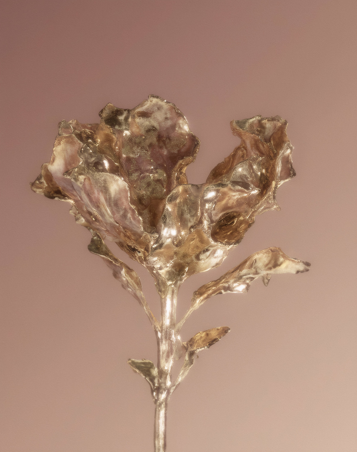 New Hybrids - © Benjamin Muzzin