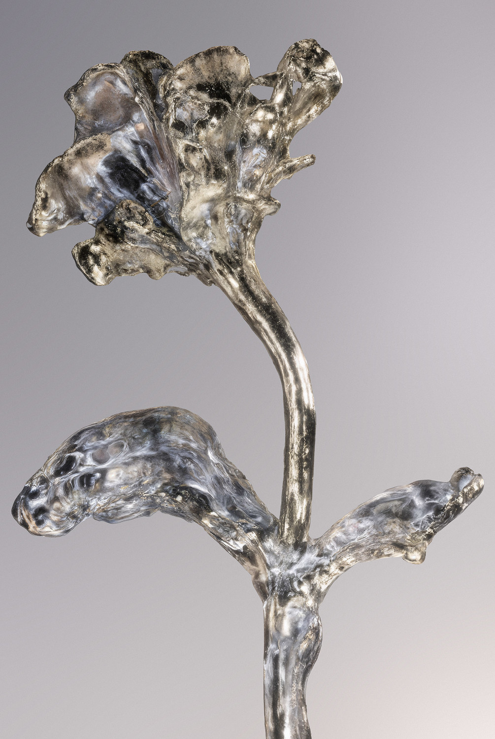 New Hybrids - © Benjamin Muzzin