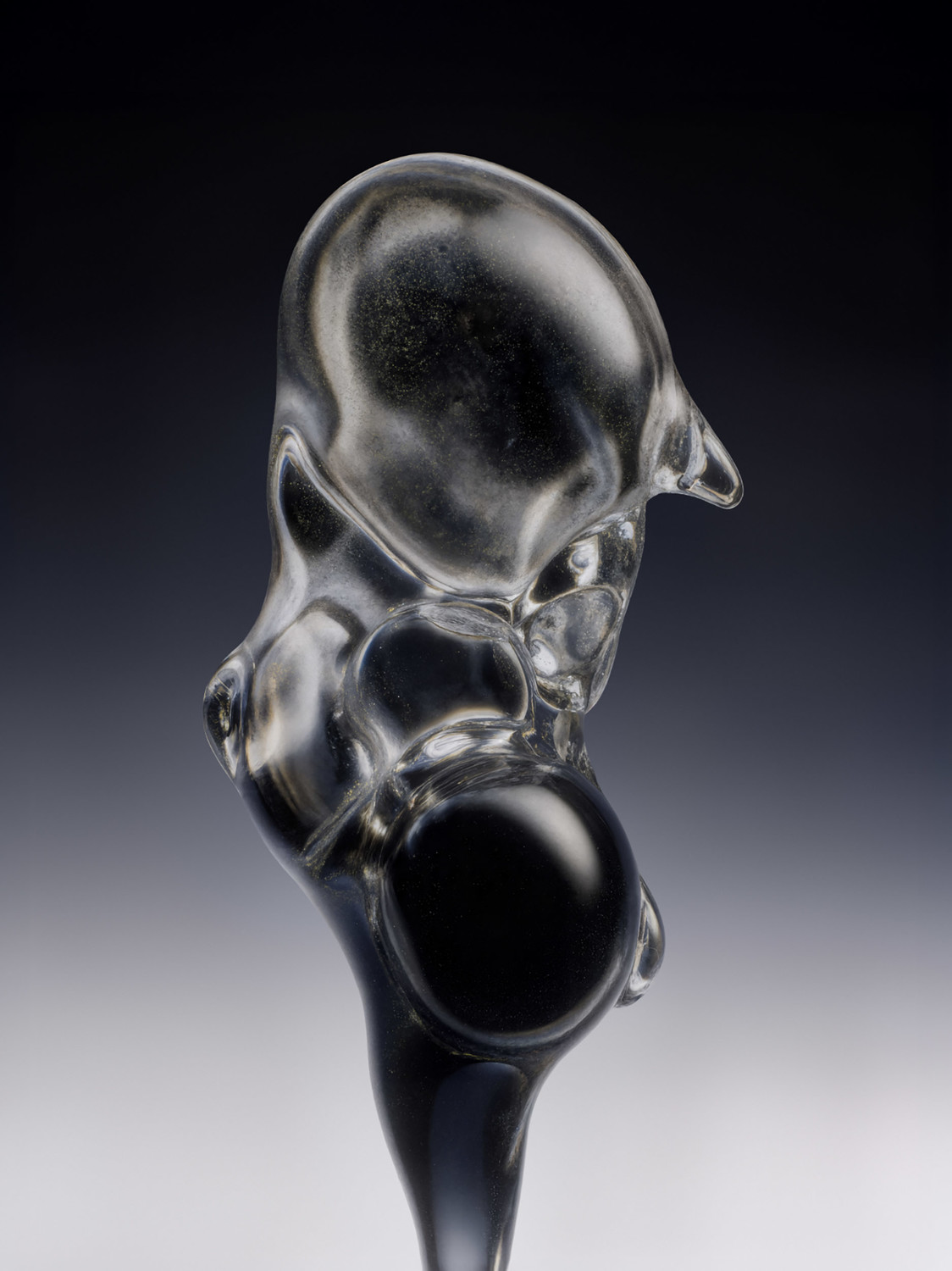 New Hybrids - © Benjamin Muzzin