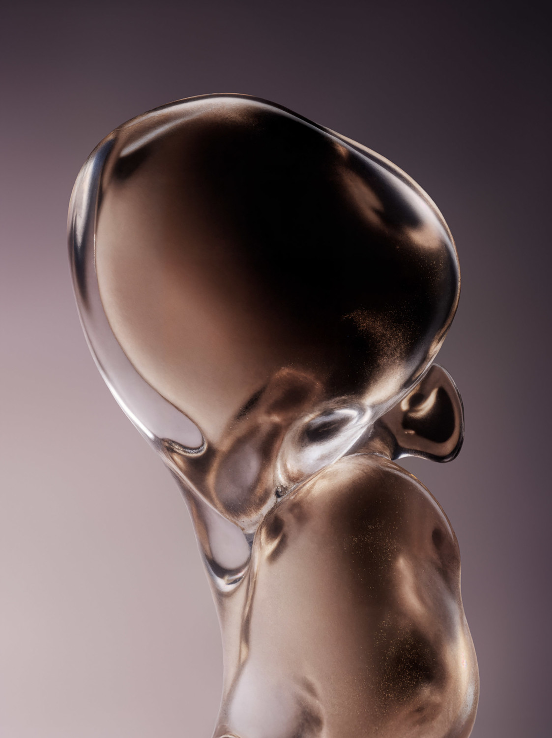 New Hybrids - © Benjamin Muzzin