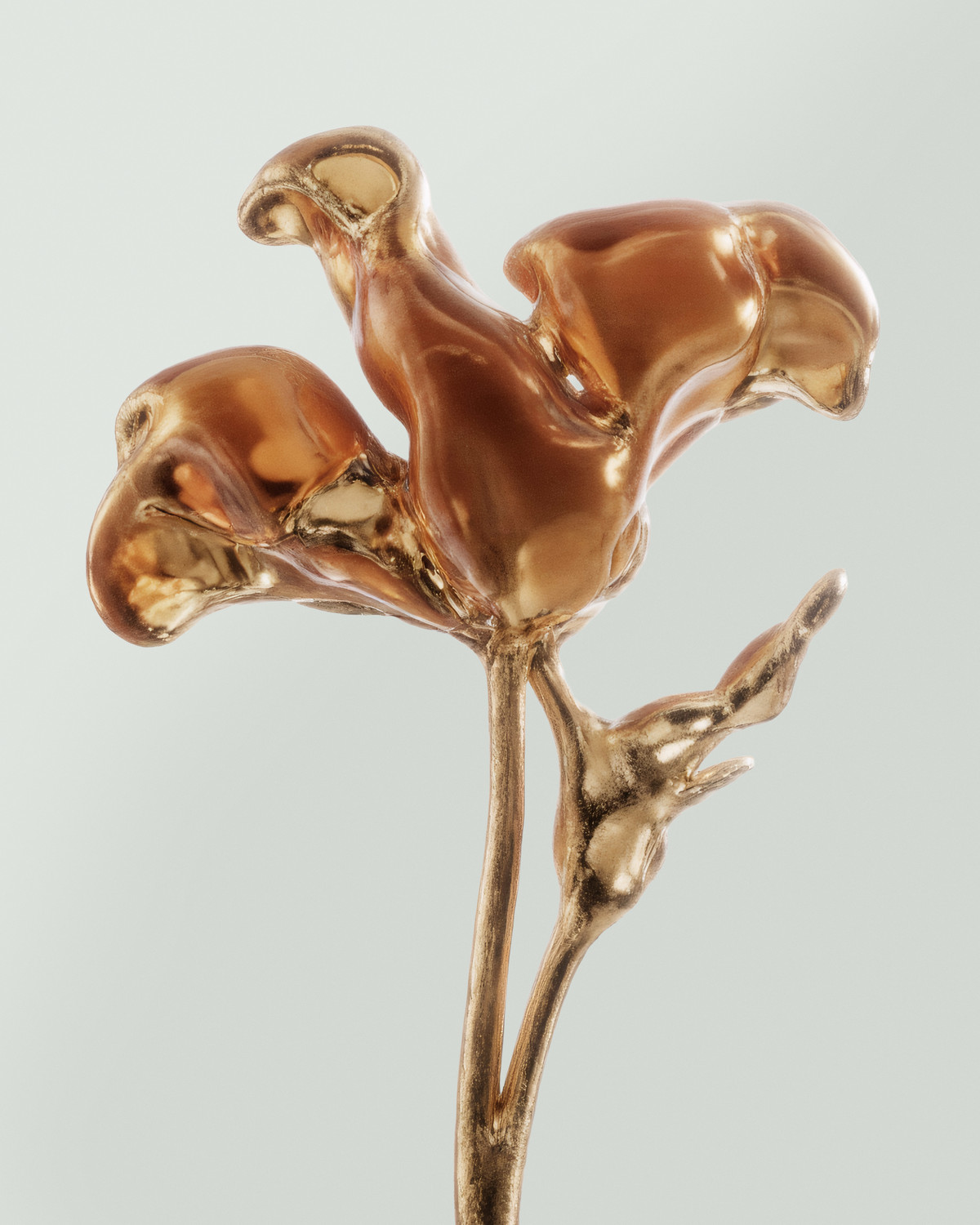 New Hybrids - © Benjamin Muzzin